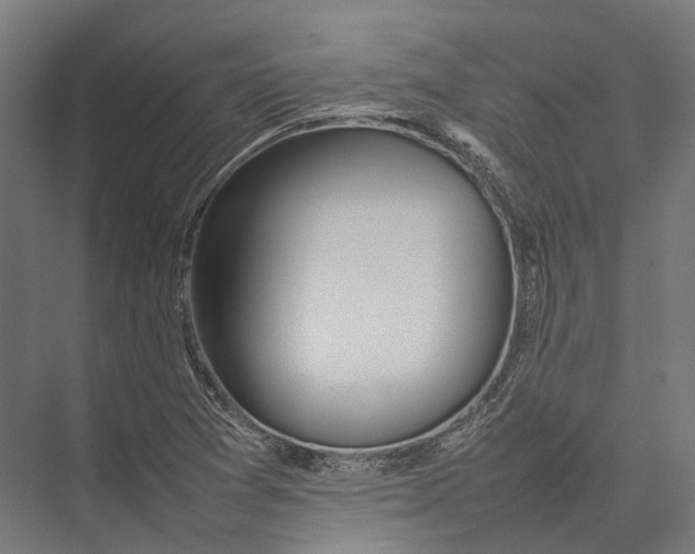 X0000075361361200610061736