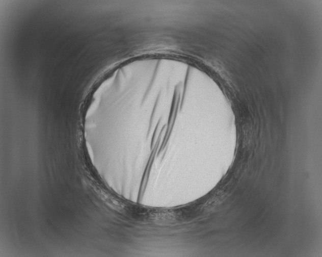 X0000075361363200610061736