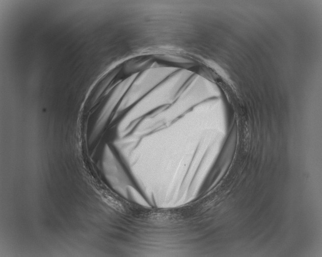 X0000075361364200610061736