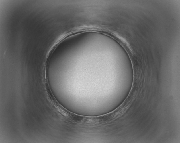 X0000075361365200610061736