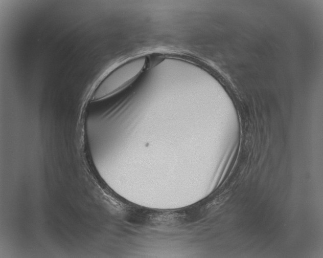 X0000075361367200610061736