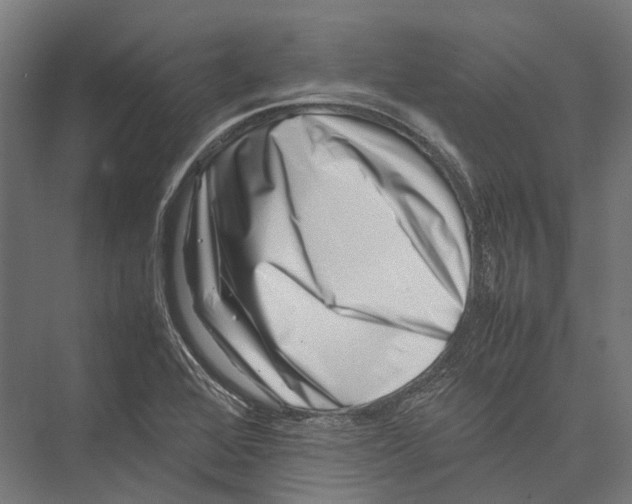 X0000075361368200610061736