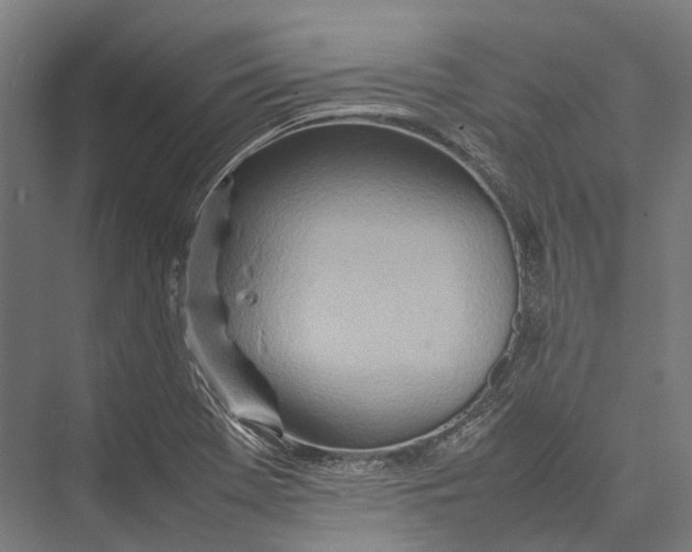 X0000075361369200610061736