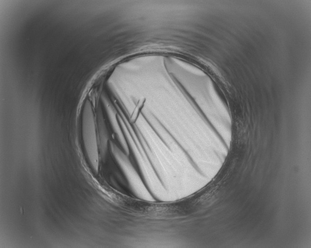 X0000075361371200610061736