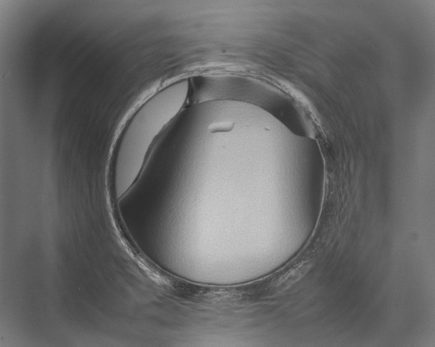 X0000075361373200610061736