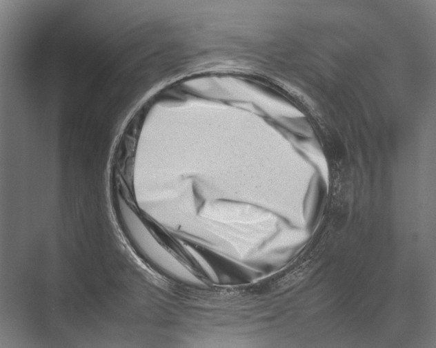 X0000075361375200610061736