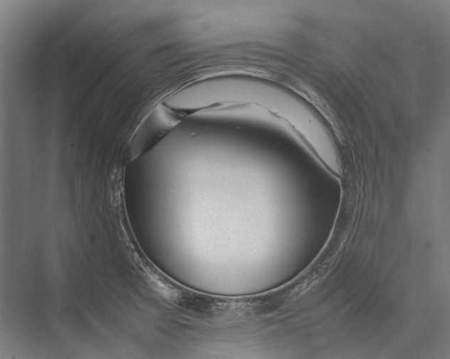 X0000075361377200610061736