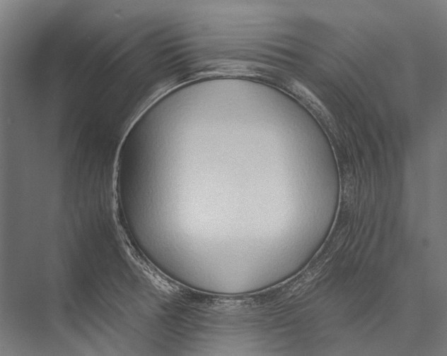 X0000075361378200610061735