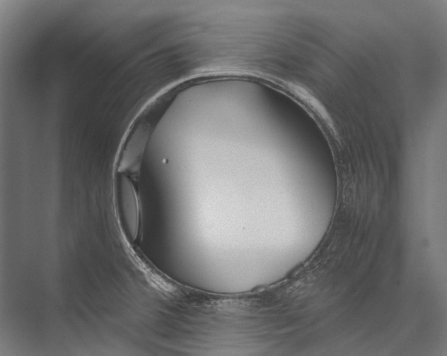 X0000075361380200610061735