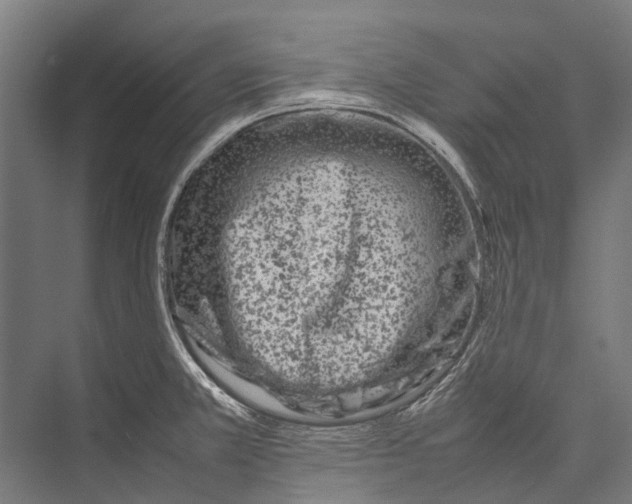 X0000075361381200610061735