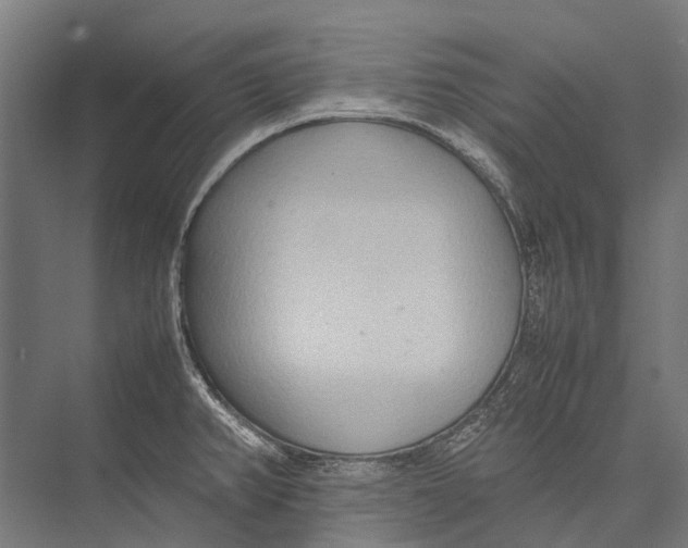 X0000075361382200610061735