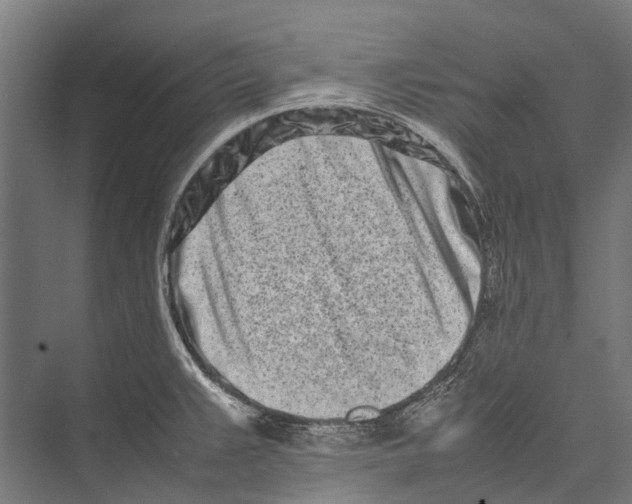 X0000075361383200610061735