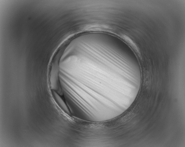 X0000075361384200610061735