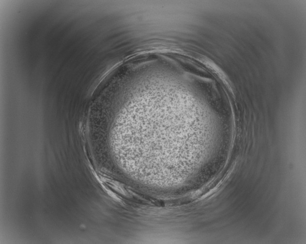 X0000075361385200610061735