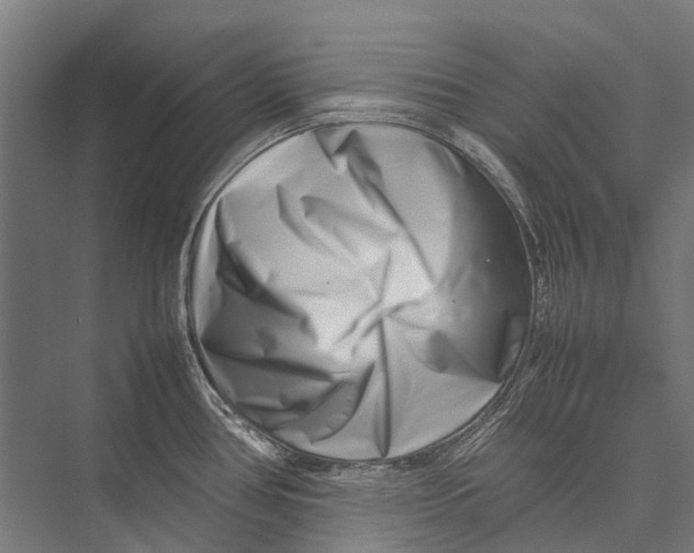 X0000075361386200610061735