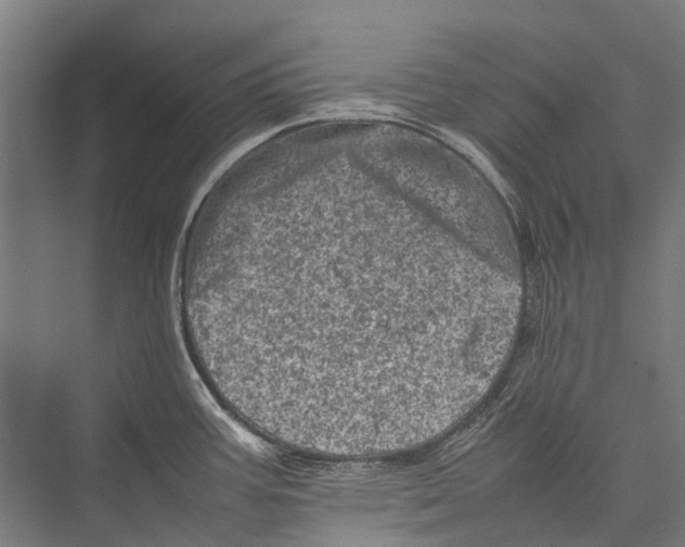 X0000075361387200610061735