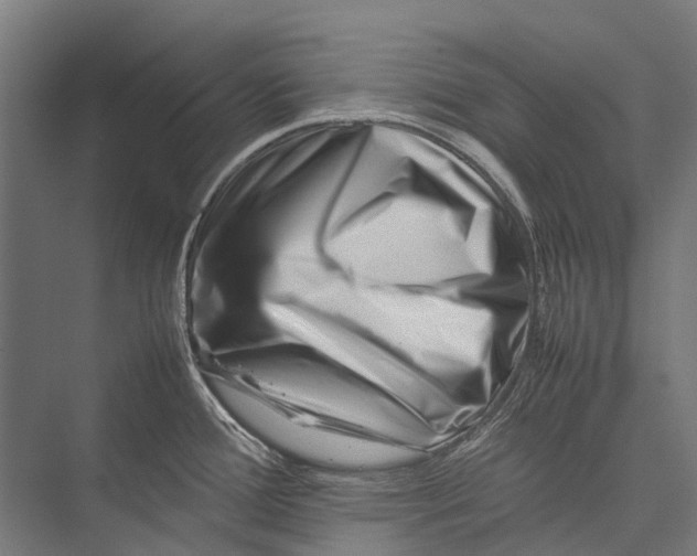 X0000075361388200610061735