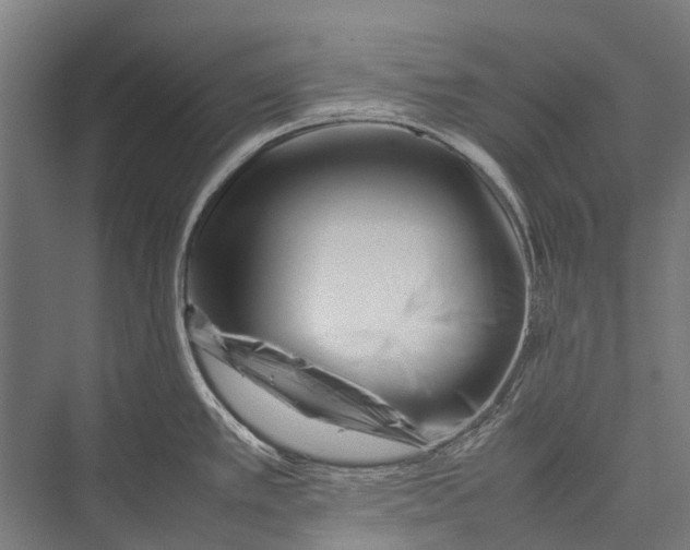 X0000075361389200610061735