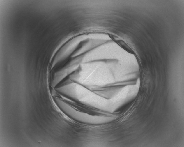 X0000075361390200610061735