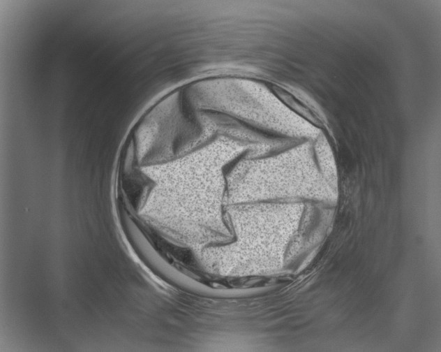 X0000075361391200610061735