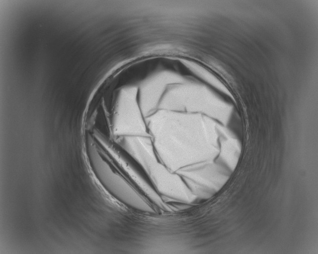 X0000075361392200610061735