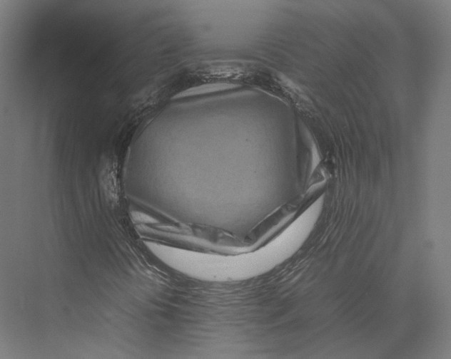 X0000075361394200610061734