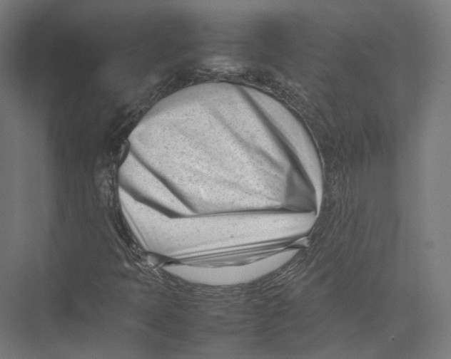 X0000075361397200610061735