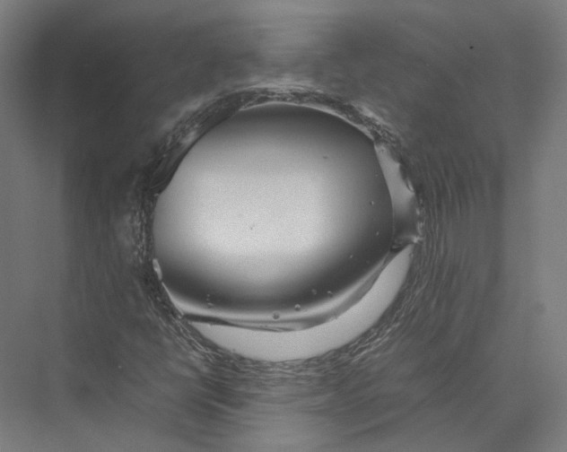 X0000075361398200610061735