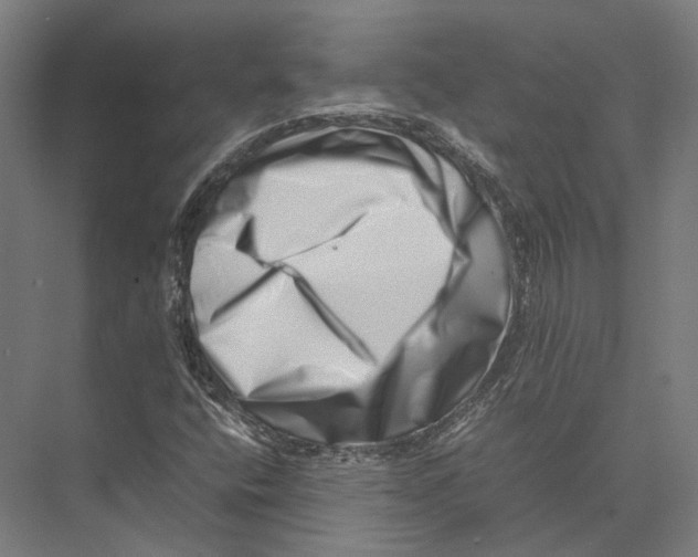 X0000075361400200610061735