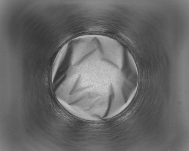 X0000075361401200610061735