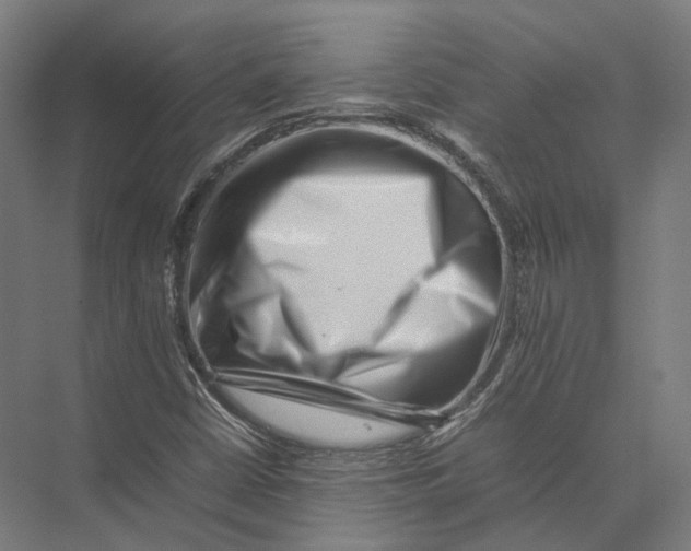 X0000075361402200610061735