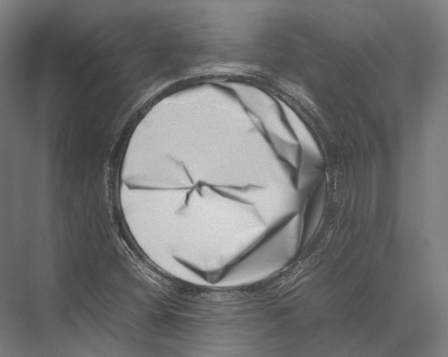 X0000075361404200610061735