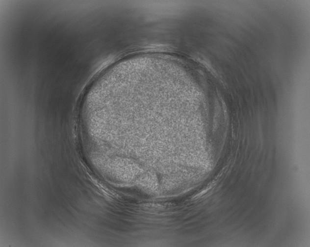 X0000075361405200610061735