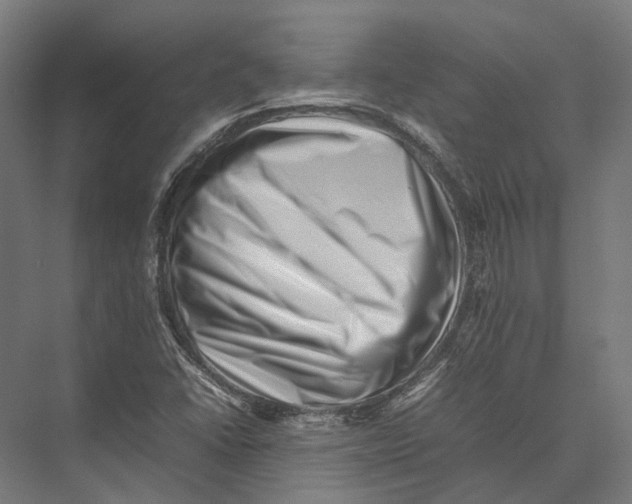 X0000075361406200610061735