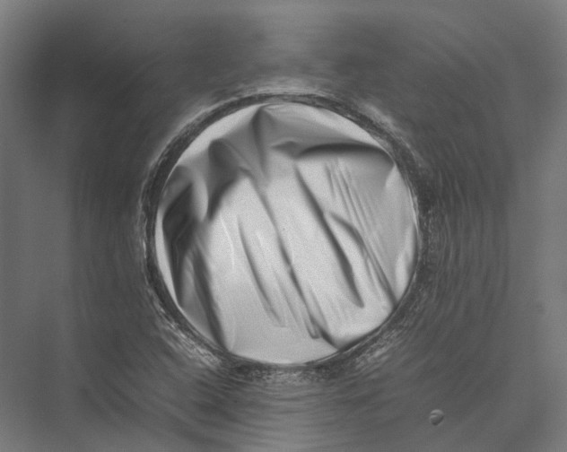 X0000075361408200610061735