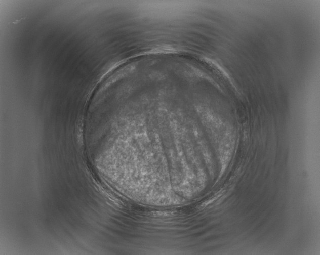 X0000075361409200610061735