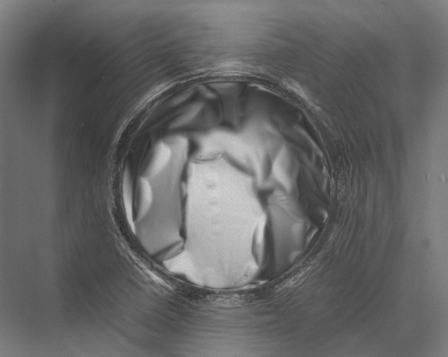 X0000075361410200610061735