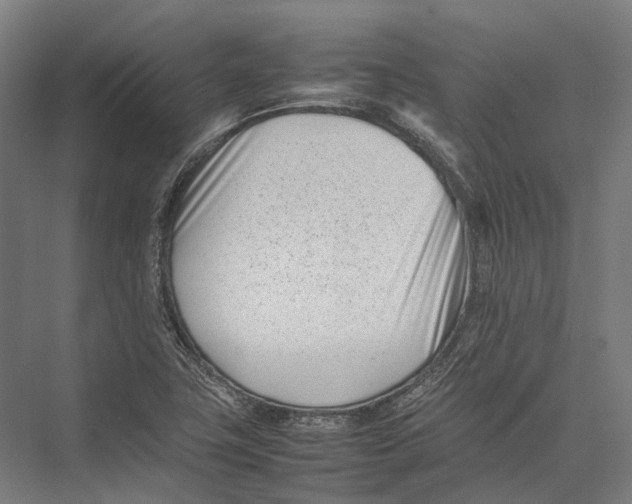 X0000075361411200610061735