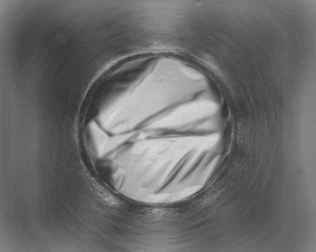 X0000075361412200610061735