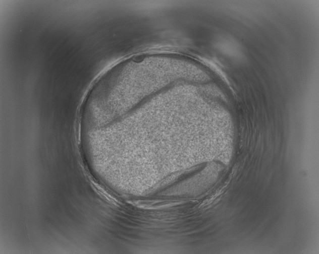 X0000075361413200610061735