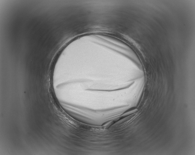 X0000075361415200610061735