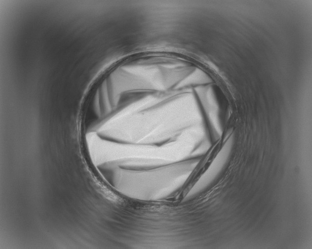 X0000075361416200610061735