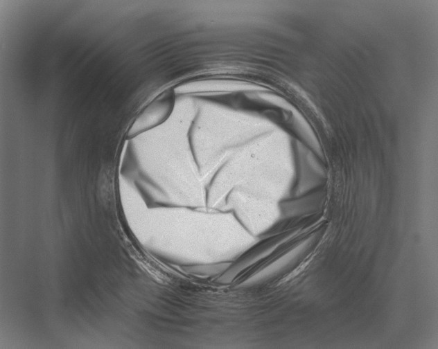 X0000075361417200610061735