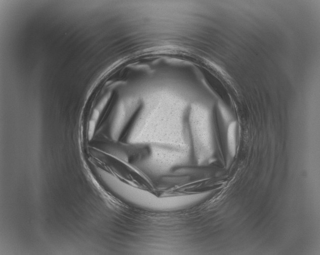 X0000075361418200610061735