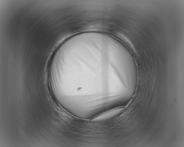 X0000075361419200610061735