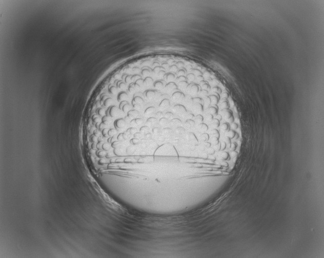 X0000075361420200610061735