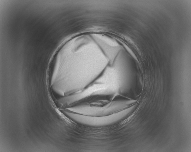 X0000075361421200610061735