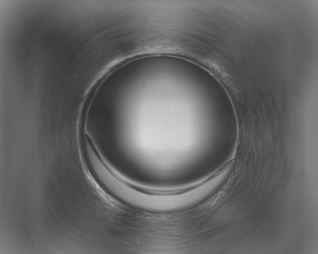 X0000075361422200610061735