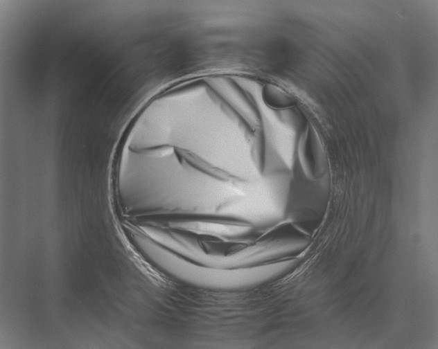 X0000075361423200610061735