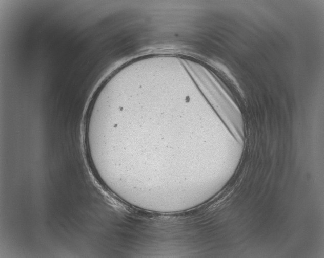 X0000075361424200610061735